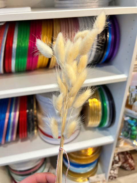 Neutral Bunny Tail Bunch