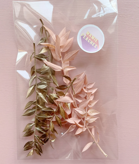 Pink and Gold Ruscus Stems